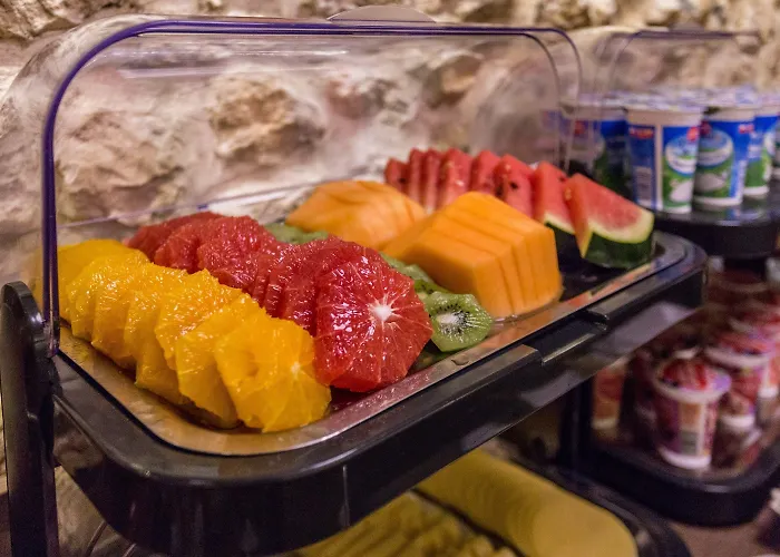 Elektor Premium 호텔