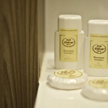 Elektor Premium 3* Kraków