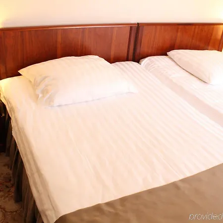 Elektor Premium 3* Cracovia