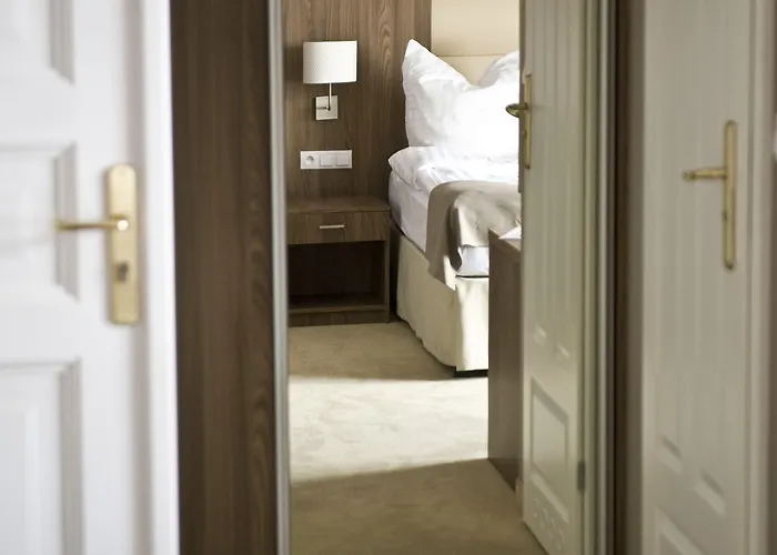 Elektor Premium Hotel 3*