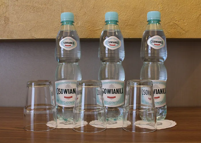 Hotel Elektor Premium Krakau