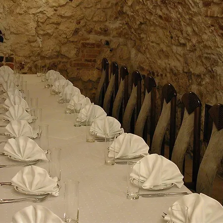 Elektor Premium Hotell 3*