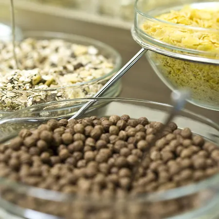 Hotell Elektor Premium 3*