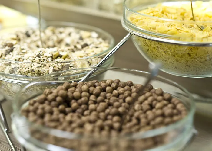 ホテル Elektor Premium 3*