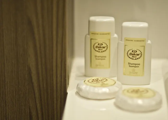 Elektor Premium 3* クラクフ